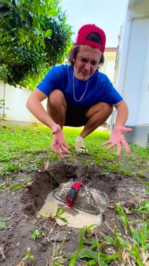 A Day in the Life of a Pet Rock: Feeding, Bathing, and Adventures!