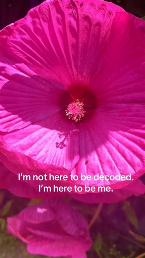 Light Journey (@heavytolight)’s videos with original sound - Light Journey