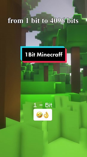 Exploring the World of Minecraft Bits