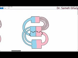 Systemic pathology 8 : CVS ( heart failure ) DR.SAMEH GHAZY