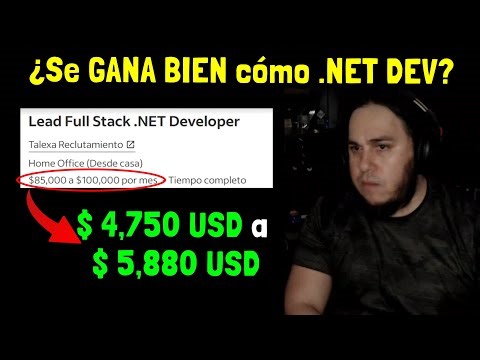 How much can you earn programming in C# .NET?