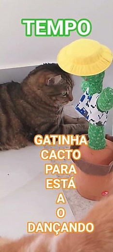 FORMING SENTENCES #literacy #activity #playful #children #sentences #cat #cats