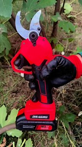 22K views · 329 reactions | I used to fail at propagating fruit...