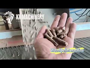 High-Capacity 6-8 TPH Wood Pellet Plant Installed in Africa | Full Biomass Processing Solution