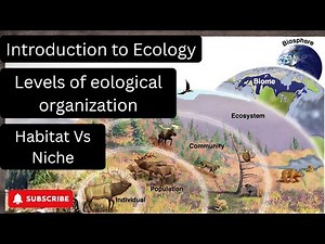 Levels of ecological organization || Introduction to ecology ||Habitat Vs Niche