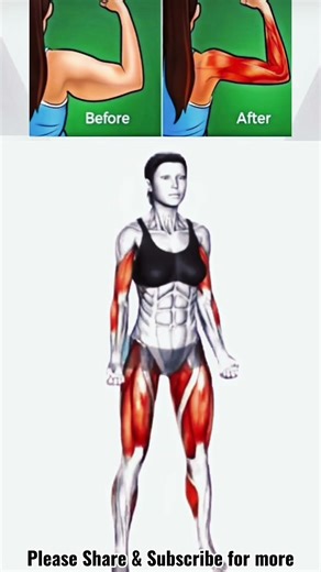 Easy Arms Workout for Beginners #workoutroutine #homeworkout #armsworkout #begginers