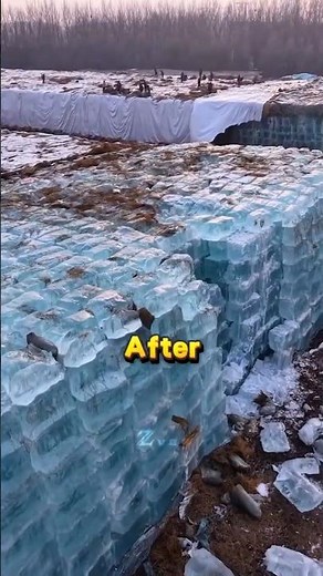 Why China Store Ice in Winter