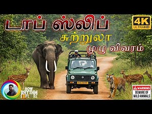 காட்டுயிர் சாகசம் 🐘🦌🌿 Topslip Safari Wild Side of Tamil Nadu 🐘 Anaimalai Tiger Reserve🐯
