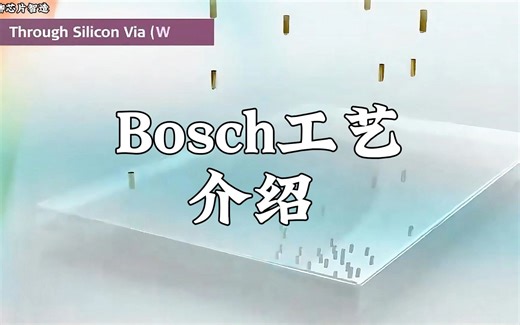 Bosch工艺介绍
