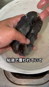 ウーパールーパーの正しい食べ方