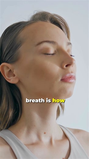 Trauma Lives In The Body