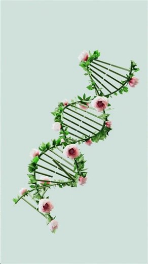 What is Git A Quick Guide for Developers#shorts