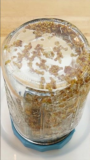 Clover Sprouts