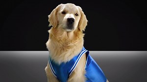 87K views · 651 reactions | There was some big news out of the...