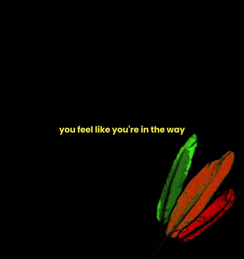 Matisyahu Lyrics: Live Like a Warrior | Trending Music Video