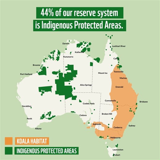 We want to explore why supporting the expansion of Indigenous Protected Areas (IPAs) should be central to caring for Country, as Traditional Owners have done for generations. What is an IPA? 👇 An Indigenous Protected Area, is an area of land or sea cared for by Traditional Owners, who enter into a voluntary agreement with the Federal Government to manage the area for biodiversity conservation. They commonly do this through skilled teams of local rangers, who practice traditional ecological know