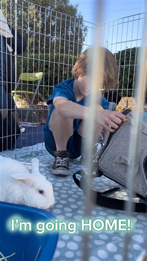 Ruby (our Tahitian Pearl) was eager to get in the carrier and go home. Red Eye White bunnies tend to wait the longest for a home; yet, they get the best homes ever. Ruby's family only had eyes for her! Congrats Ruby & family. We are so happy. 🥳♥️🐰 | East Bay Rabbit Rescue