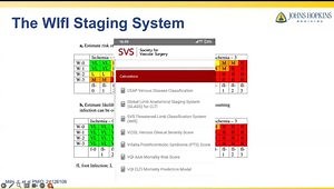 (private) Diabetic Foot Ulcer-Related Infections Management for the Primary Care Practitioner