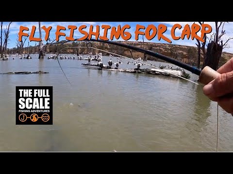 Fly Fishing For Carp | Kayak Fishing | The Full Scale