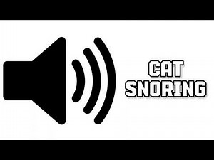 Memes Sound Effect - Cat Snoring | Editing | Copyright Free