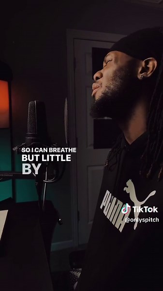 Renmakesmusic & Chinchilla Music Chalk Outlines Cover Song