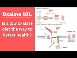Oxalate 101: Is a low oxalate diet necessary for better health?
