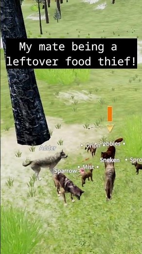 Sparrow Stole the Leftovers 😒 #wolfquestsaga #sharingiscaring #glutton