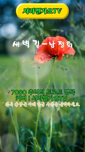 #새벽길 #남정희 🎤7080 추억의 트로트 명곡 커버 | 서라벌가요TV #어쩌란말인가