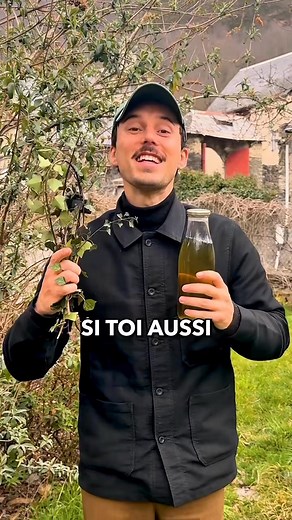 Tuto : lessive de lierre lierre🌿 | Laviepartout