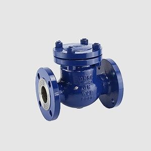 Premium Stainless Steel Swing Check Valve for Optimal Flow Control
