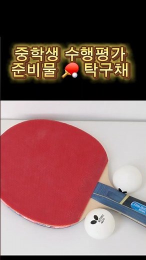 중학생 탁구 라켓 추천 | 수행평가 준비물 3만원대 가성비 탁구 초보용 버터플라이