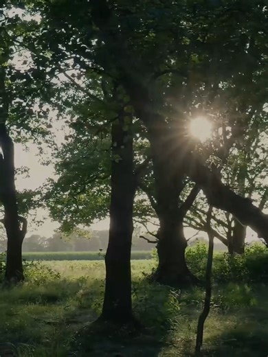 Isn't everybody of SOME disability ( visual or non-visual, physical or non-physical ) ??? Build a bridge between our worlds, Ask you “How can I reach you” Not “What’s wrong with you”... # Foundations of Disability & Communication # You and me # We’re the same celebration # Disability is diversity # We’re here # Communication # Shared responsibility ## # Eigo de utaou # Nihongo de warau # Te to te tsunaide # Kokoro de wakaru # Kikoeru? Mienai? Daijoubu dayo # Yorokobi wakachau # Minna no sekai yo