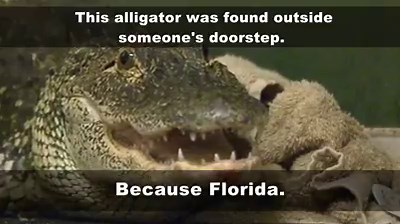 Meanwhile, in Florida: http://www.fox13news.com/news/local-news/143342811-story | FOX 13 News - Tampa Bay