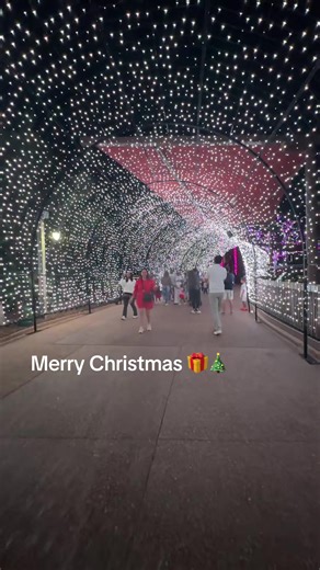 chic and domestic (@cecilia.waters.po)’s videos with original sound - WildCraftedStudio