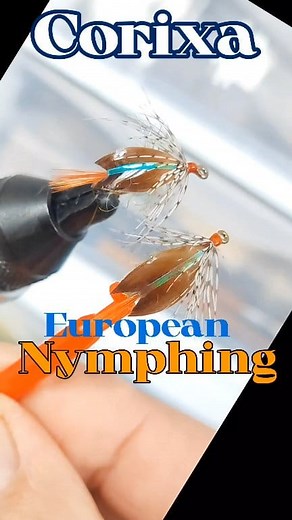 Fly tying Nymph Corixa! An Explosive Fantasy 😉💯🎣. #montajedeninfas #atadodemoscas #montajedemoscas | Alonso Wind Flies