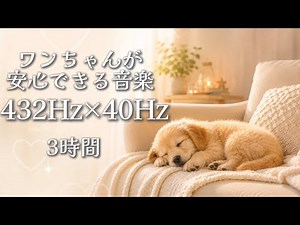 🩷犬が安心する音楽🐶🩷 【432Hz×40Hz ｜3時間】｜犬用リラックスBGM ｜留守番/分離不安に｜ Calming Music for Dogs 3 Hours