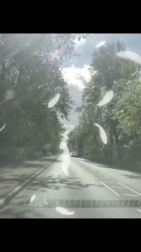 Scenic Drive Through Lush Greenery: A Relaxing Experience