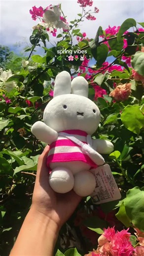 miffy the spring girly °❀⋆.ೃ࿔*:･ . #miffy #miffycollection #spring