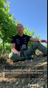 5.7K views · 162 reactions | Who better than our Sicilian winemaker...