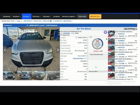 Cars from Copart USA Full Auction Review | 250