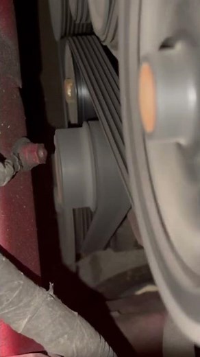 Terrible Alternator Bearing Noise #alternator