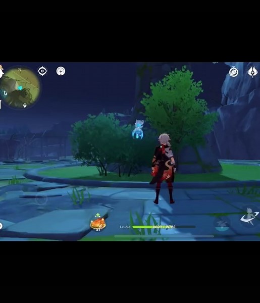 Most Commonly Missed Anemoculus Locations