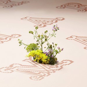 64K views · 71 reactions | Live from Milano, the Max Mara Spring 2018 runway show. Watch Sept. 21st at 9:30 AM CET on instagram.com/maxmara | Max Mara | Facebook