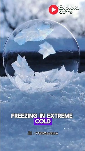 The "Snowflake" Bubble