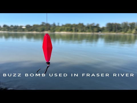 108, Using Buzz Bomb to fish Pink Salmon in Fraser River