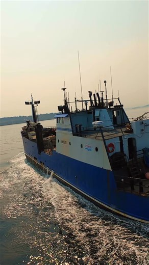 Salmon Tender Returns from Alaska | Trident Seafoods Fleet | DJI Avata After a long and productive salmon season in Alaska, this Trident Seafoods tender makes its return to port — a proud symbol of the hardworking fishermen who keep America’s seafood industry thriving. Loaded with memories and the spirit of the northern waters, the vessel glides home across the calm Pacific under the watchful eye of our DJI Avata drone. From the icy waters of Alaska to your table — Global Seafoods is proud to br