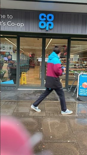 Clever Seagull Steals a Sandwich || ViralHog