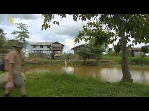 EL COCODRILO GIGANTE DE FILIPINAS