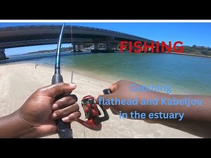 Catching kob & flathead in an estuary in South Africa