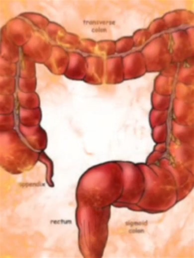 large intestine on TikTok
